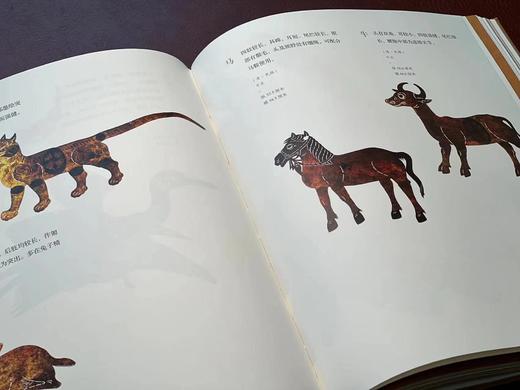 《成都皮影》，成都博物馆 编著，16开，仿皮面精装，310页，巴蜀书社2020年12月一版一印。定价398，售价178元。 商品图11