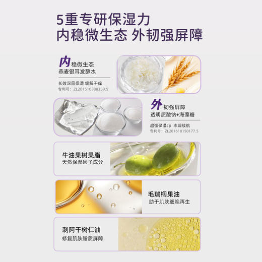 棒宝可 双菌植萃 6-12岁 儿童维稳面霜50g 商品图4