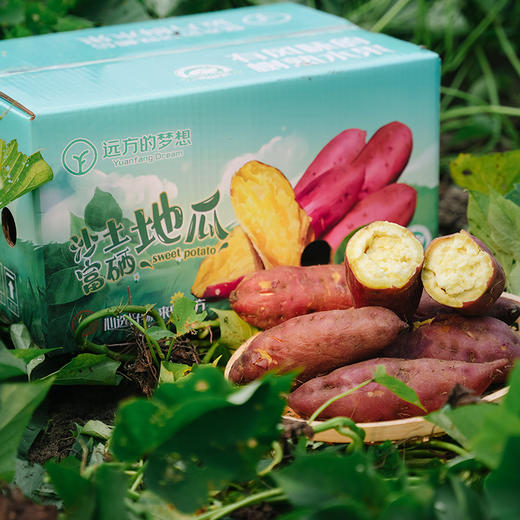 桥头沙土富硒地瓜5斤装/8斤装 商品图2