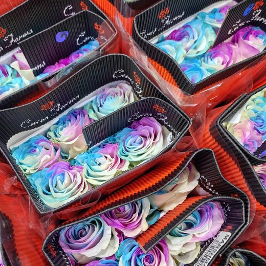 厄瓜多尔进口染色玫瑰花棉花糖10支 商品图2