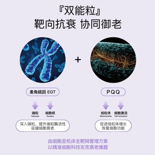 【跨境】CAACBB光能瓶 商品图5