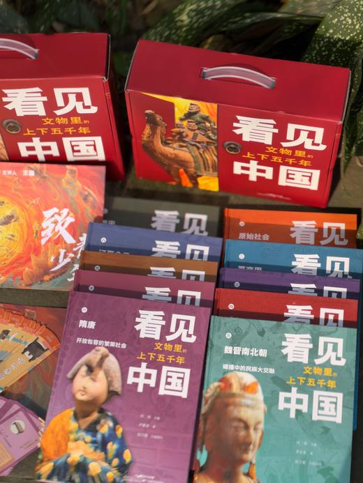 《看见中国：文物里的上下五千年》（全10册） 商品图13