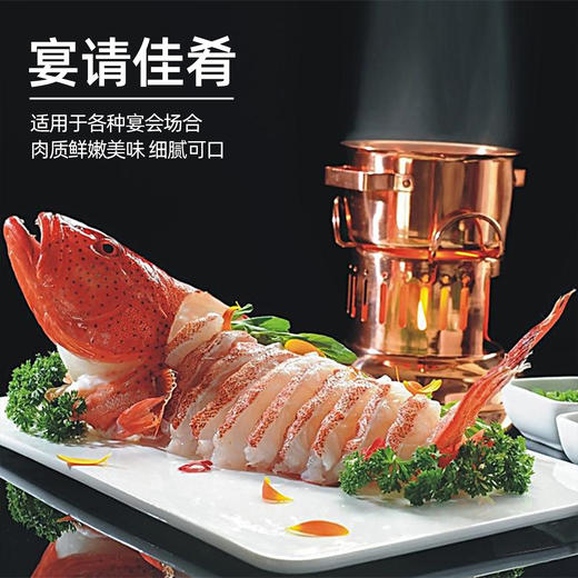 港岛姑娘 深海东星斑深海鱼红石斑味美鲜甜肉质弹嫩活冻 商品图1