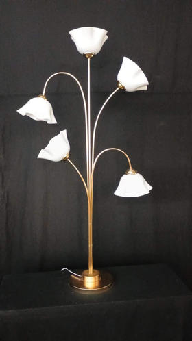 5头美人花路引（运费自理）