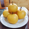基地直发-小空山有机圆黄梨 脆甜 多汁 新鲜采摘 京东快递～下单所有规格均赠送100g秋梨膏 商品缩略图4