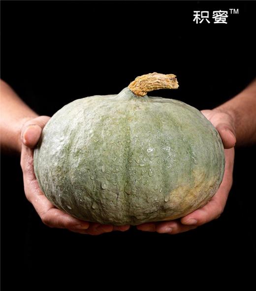 粉糯香甜 ！新疆阿勒泰【银栗南瓜】沙漠银珠 天山雪灌溉 银栗南瓜  核心产区 高营养价值 宝宝辅食  5-7斤 商品图1
