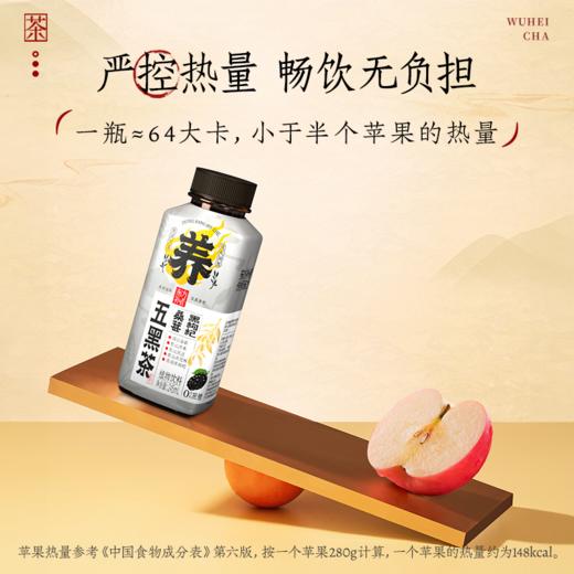 【五重黑料 以黑养黑 细火慢熬】黑枸杞桑葚五黑茶 商品图4