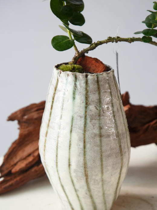 造型串钱木 商品图1