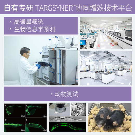 【跨境】CAACBB光能瓶 商品图7