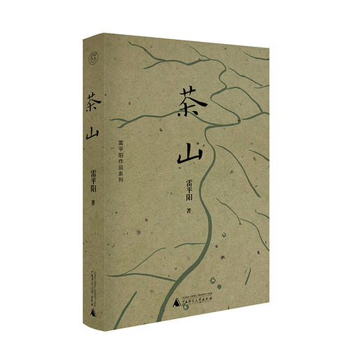 茶山  雷平阳/著 商品图2