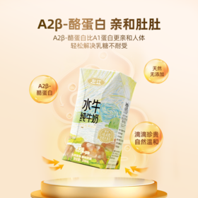 告别乳糖不耐受！左江水牛奶【a2β-酪蛋白水牛纯牛奶】甄选摩拉水牛+A2型奶牛！更亲和 更易吸收 拒绝添加 100%原奶搬运 奶味十足 淡淡清甜