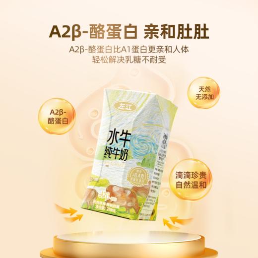 告别乳糖不耐受！左江水牛奶【a2β-酪蛋白水牛纯牛奶】甄选摩拉水牛+A2型奶牛！更亲和 更易吸收 拒绝添加 100%原奶搬运 奶味十足 淡淡清甜 商品图0