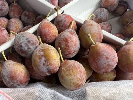 周二取货：【新疆西梅】一份1斤左右，中国超好吃的西梅，放软些贼甜！ 商品图2