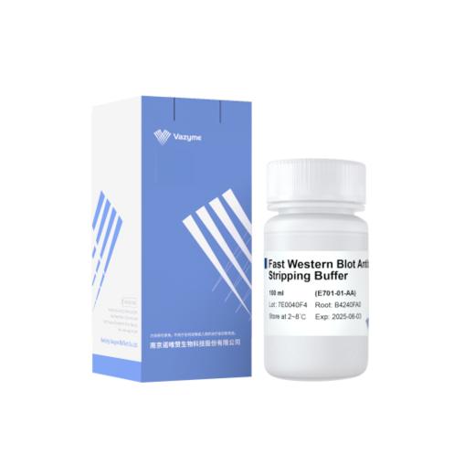 Fast Western Blot Antibody Stripping Buffer 商品图1