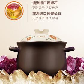 苏泊尔新陶养生煲-汤煲煲TB60A3