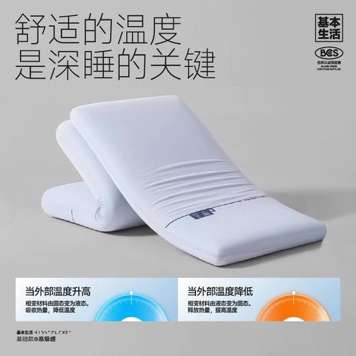 【白禾】基本生活A+深睡缓解释压枕芯 商品图6