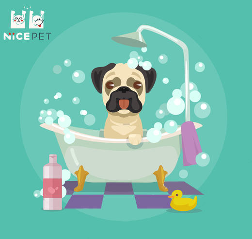 Nice Pet狗狗宠馨宝死海泥spa（含洗澡） 商品图0