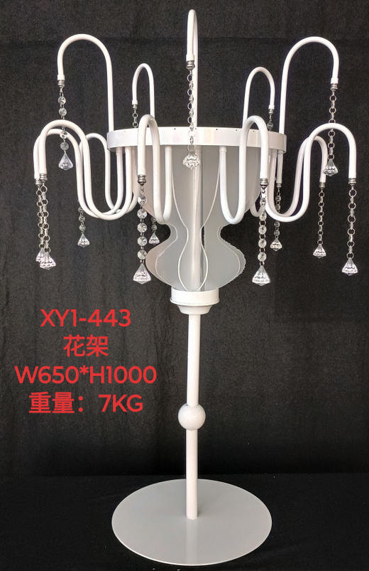 XY1-443花架（运费自理） 商品图0