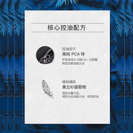 【专柜】Hair Laboratory 黑云杉控油洗发水高颅顶氨基酸无硅洗发水500ml 商品图3