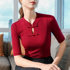 国风盘扣立领中袖T恤女2024新款女装气质网纱打底衫弹力收腰上衣