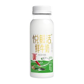 君乐宝260ml A2悦鲜活鲜牛奶（包装随机）