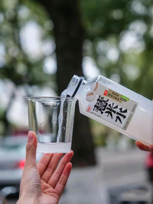 好望水薏米水桂圆水 500ml/瓶 商品图4