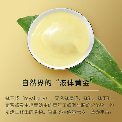 【森蜂园蜂王浆便携装】 鲜活小金条营养更便携 商品图2