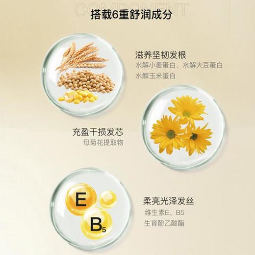 【专柜】博柔香氛洗发水露香味持久留香修护毛躁干枯女柔顺顺滑强韧防断发 318ml/瓶 商品图3
