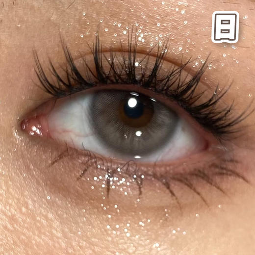 #泡沫 灰  14.2mm【10片装】日抛 商品图0