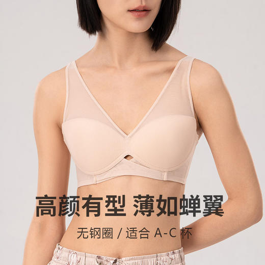 TG-TG02S223春夏真丝光面聚拢文胸 性感网纱无钢圈桑蚕丝内衣美背小胸 商品图1