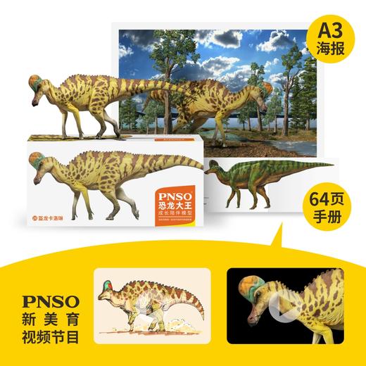 PNSO盔龙卡洛琳恐龙大王成长陪伴模型28 商品图1