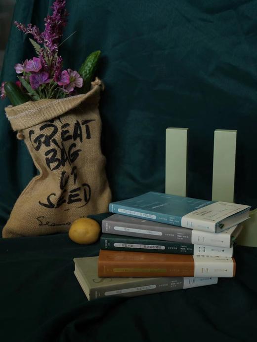 诺奖得主希尼诗集 中英对照 精美皮质外封 商品图1