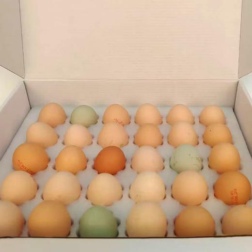 【厂商直发】有机山鸡蛋30枚无抗无农残散养新鲜土鸡蛋有机认证 商品图8