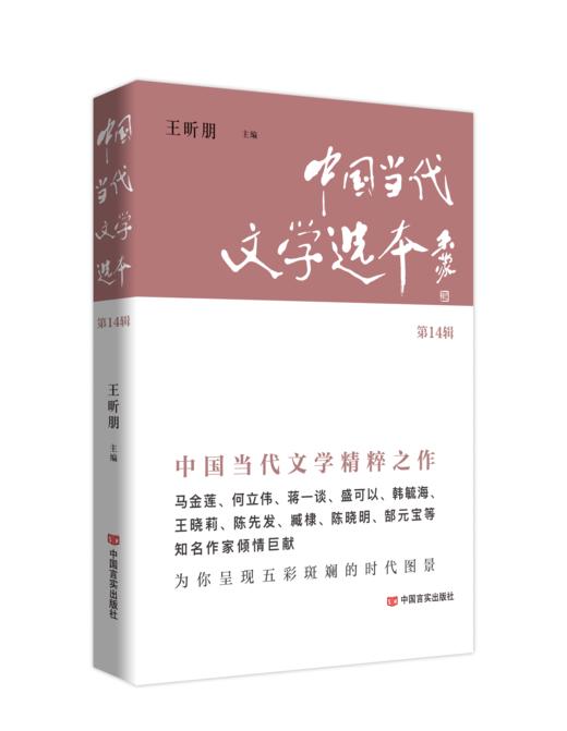 中国当代文学选本（第14辑） 商品图0