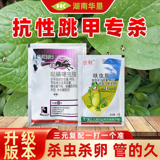 跳甲专杀套餐 哒螨噻虫胺甘蓝白菜蔬菜跳甲专用杀虫剂 商品图0
