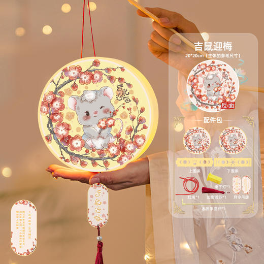 【中秋灯笼手工diy材料包】十二月令生肖龙年花灯 儿童幼儿园挂饰 卡通生肖图案  商品图5