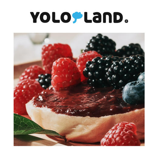 黑花生酱 阳光五莓酱 有乐岛 商品图6