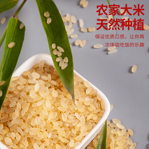 周大黑蒸谷米1千克盒装 古法蒸煮 耐嚼适口 商品图1