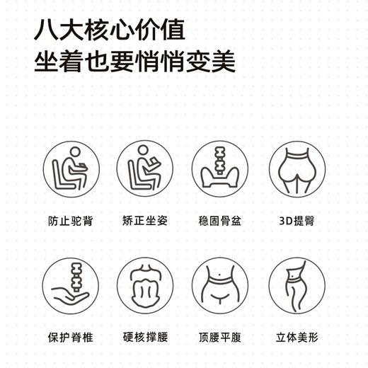朗得动 人体工学坐姿矫正护腰坐垫（三色可选） 商品图2