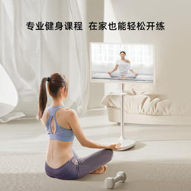 海信移动智慧屏27X6H 27英寸 护眼类纸屏 观影娱乐多场景 无线续航 可移动电视机 随心屏