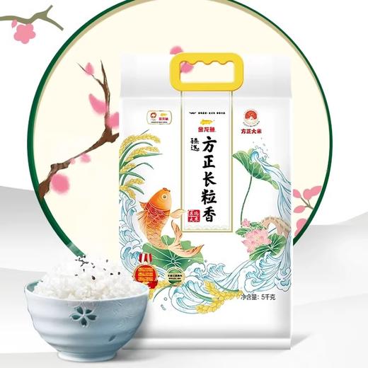金龙鱼臻选方正长粒香米5KG 商品图0