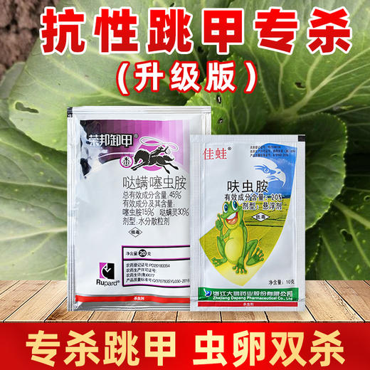 跳甲专杀套餐 哒螨噻虫胺甘蓝白菜蔬菜跳甲专用杀虫剂 商品图4