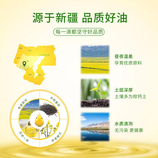绿洲果实一级菜籽油5L 物理压榨 商品图4