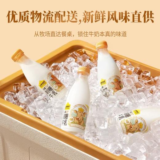 认养一头牛 PET冷藏娟姗牛乳 700ml/瓶 商品图3