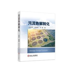 污泥热解转化/胡艳军，郭倩倩，乔瑜
