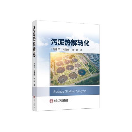 污泥热解转化/胡艳军，郭倩倩，乔瑜 商品图0