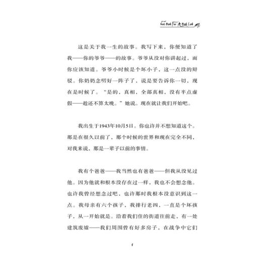 摆渡船当代世界儿童金奖书系：幸运的坏男孩([英] 迈克尔·莫波格 著) 商品图1