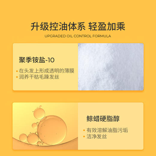 KONO轻盈控油洗发水1000ml控油蓬松留香轻盈温和大容量洗发露男女通用 100017927247 商品图2