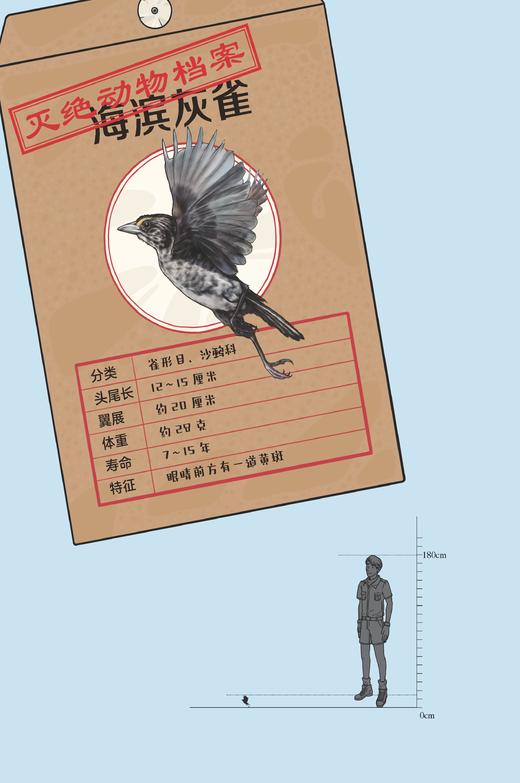 《失落的动物园：世界灭绝动物故事》（全2册） 商品图11