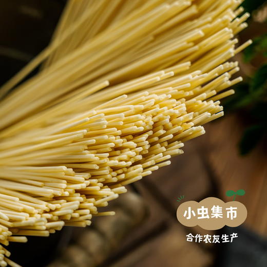 生态砂地红光头无盐鸡蛋面 300g/袋 I 来自甘肃河西走廊的旱砂地带，生产者：尹发华 &【公平贸易农人定价】 商品图5